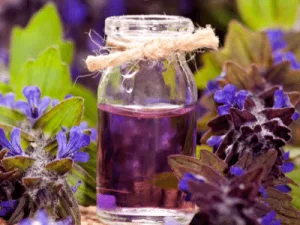 Huile de violette