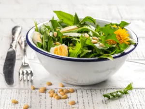Salade de pissenlit