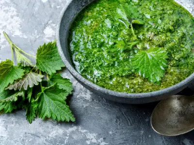 soupe d'ortie