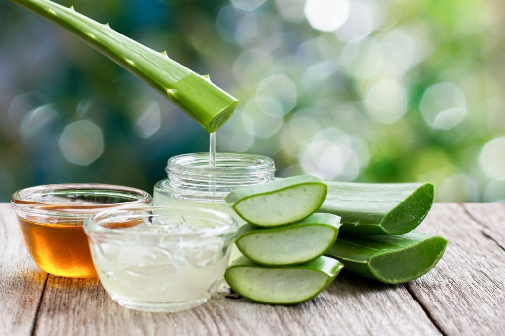 bienfaits aloe vera